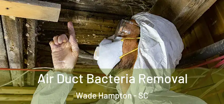  Air Duct Bacteria Removal Wade Hampton - SC