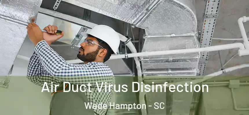  Air Duct Virus Disinfection Wade Hampton - SC