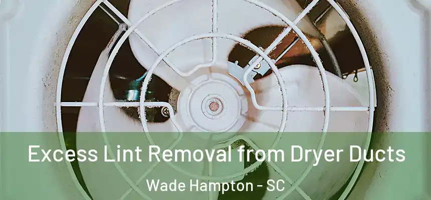 Excess Lint Removal from Dryer Ducts Wade Hampton - SC