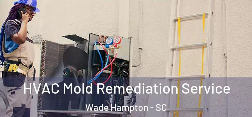  HVAC Mold Remediation Service Wade Hampton - SC
