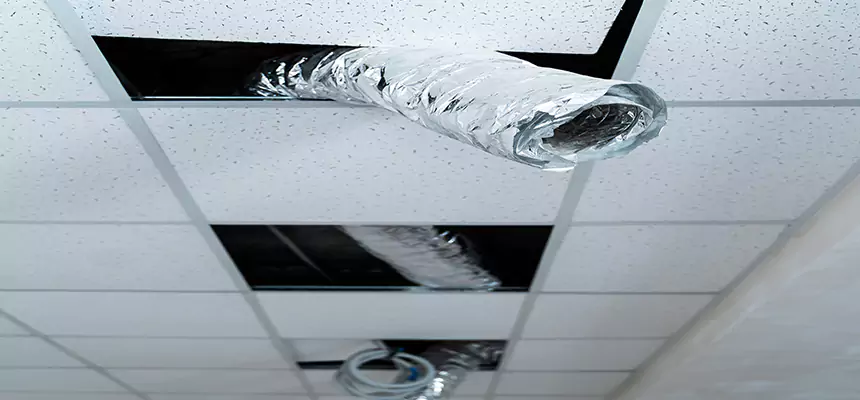 Affordable HVAC Sanitizing After Pest Removal in Wade Hampton