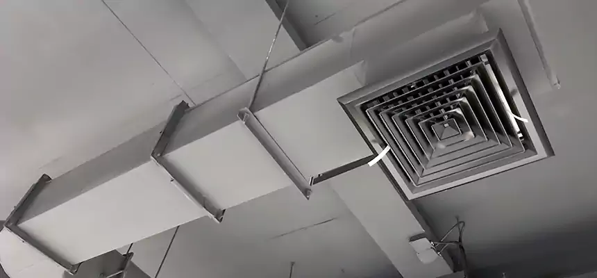 Our Pest Removal From Ducts Services in Wade Hampton, SC