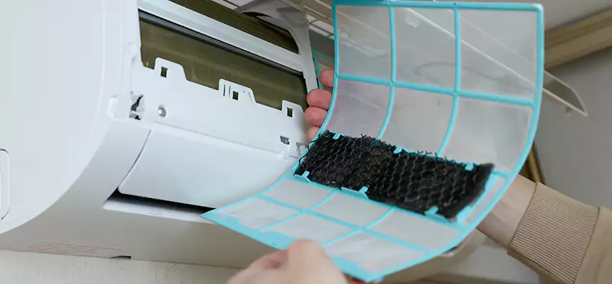 Gentle Ductwork Odor-Control Pet Dander Duct Cleaning in Wade Hampton, SC