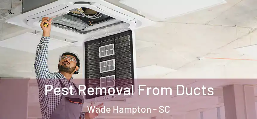  Pest Removal From Ducts Wade Hampton - SC