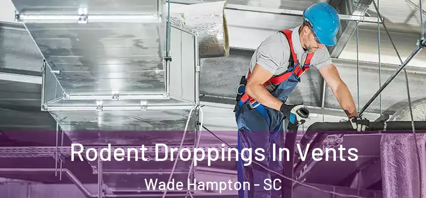  Rodent Droppings In Vents Wade Hampton - SC