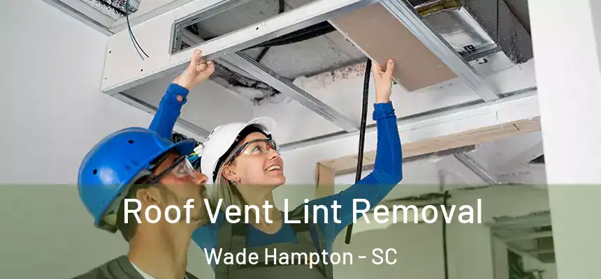  Roof Vent Lint Removal Wade Hampton - SC
