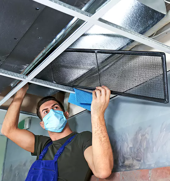 About Air Duct Bacteria Removal in Wade Hampton
