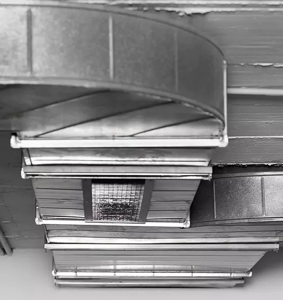 Professional Air Duct Pest Removal in Wade Hampton, SC