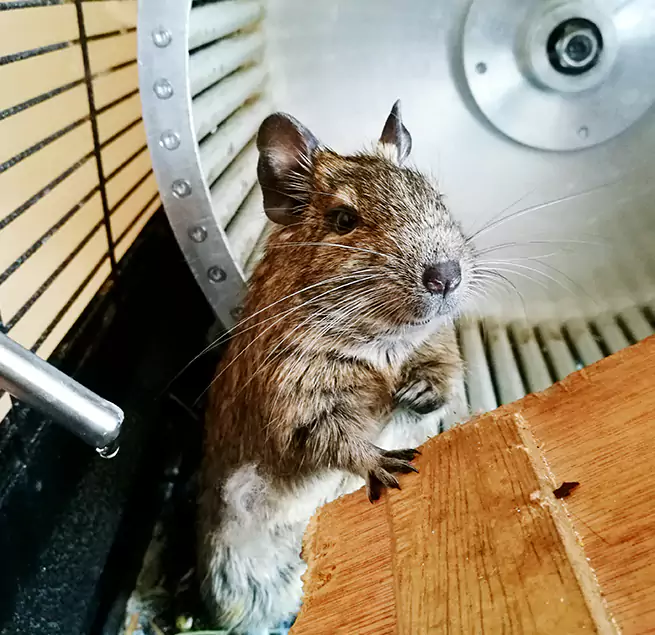 Why Homeowners & Businesses Trust Us Wade Hampton, SC?