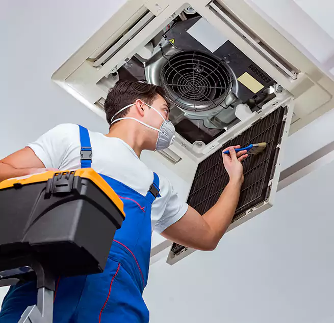 Why Homeowners & Businesses Trust Us in Wade Hampton, SC