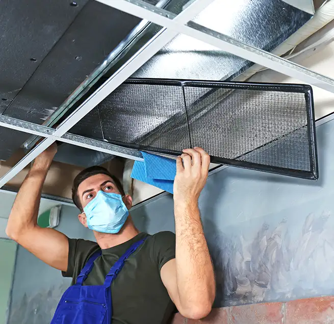 Why Homeowners & Businesses Trust Us in Wade Hampton, SC?