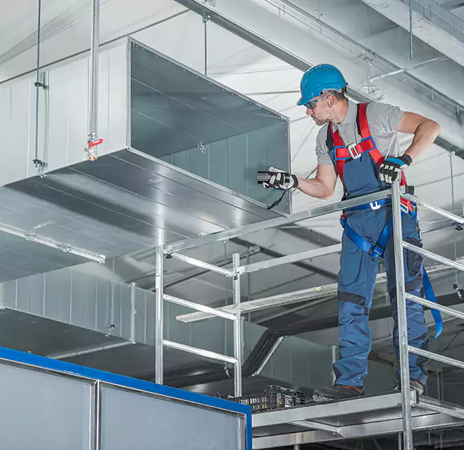 Why Homeowners & Businesses Trust Us in Wade Hampton, SC?