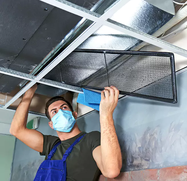  Why Homeowners Businesses Trust Us  in Wade Hampton, SC?